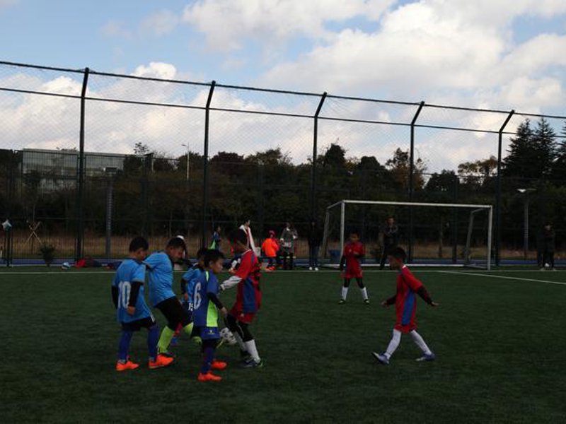 关于乐鱼(leyu)官网